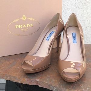 Vernice Basic Cammeo 1KP136